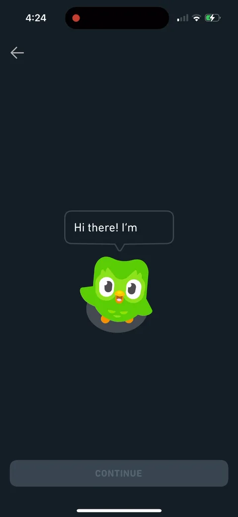Duolingo onboarding screen 3: 'Hi there