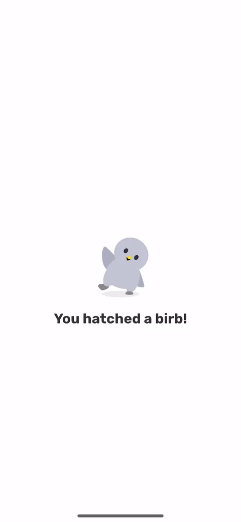Finch onboarding screen 4