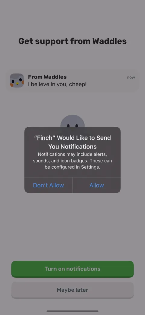 Finch onboarding screen 26: Notification permission, and the prompt comes from Waddles: 'I believe in you, cheep!' Framing the ask as…