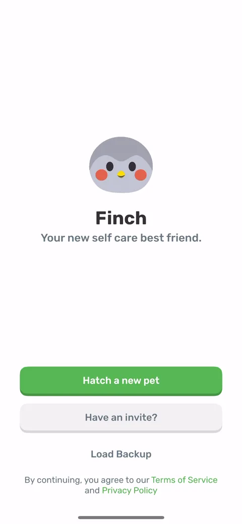 Finch onboarding screen 2: 'Your new self care best friend' and the main button is 'Hatch a new pet', not 'Get started'