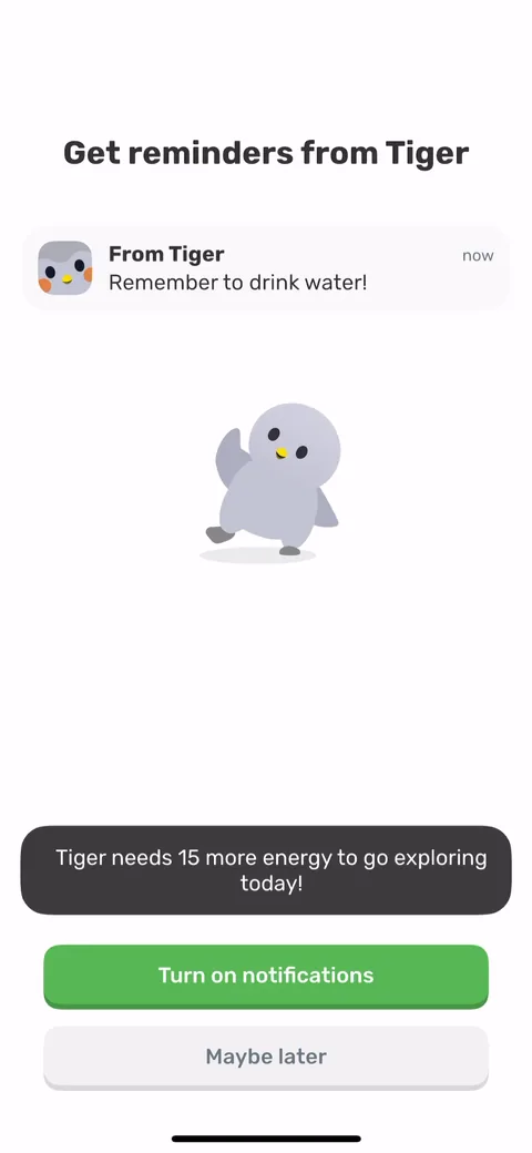 Finch onboarding screen 24: Notification permission, framed as 'get reminders from Tiger' with the pet saying 'remember to drink water.'…
