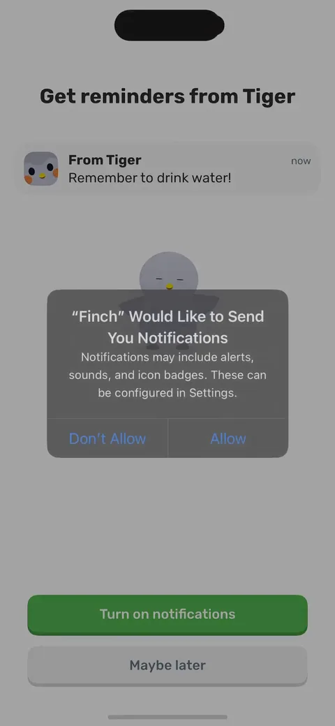 Finch onboarding screen 25