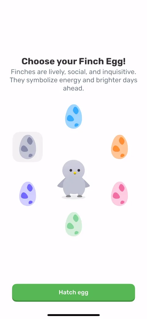 Finch onboarding flow