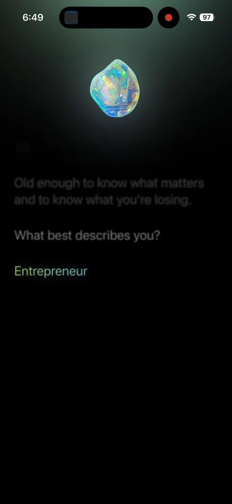 Opal onboarding screen 18: 'What best describes you?' (Entrepreneur)