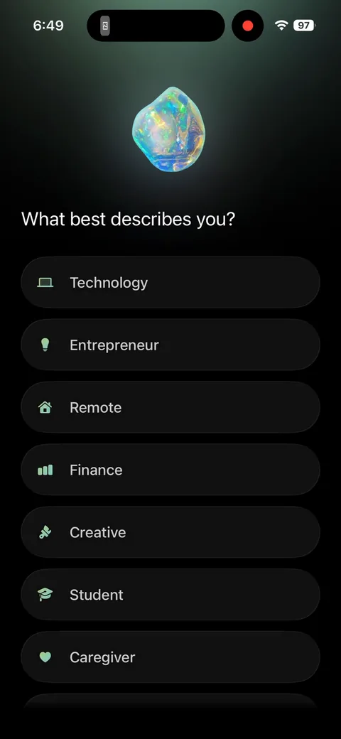 Opal onboarding screen 24: 'What best describes you' (entrepreneur, student, creative, caregiver)