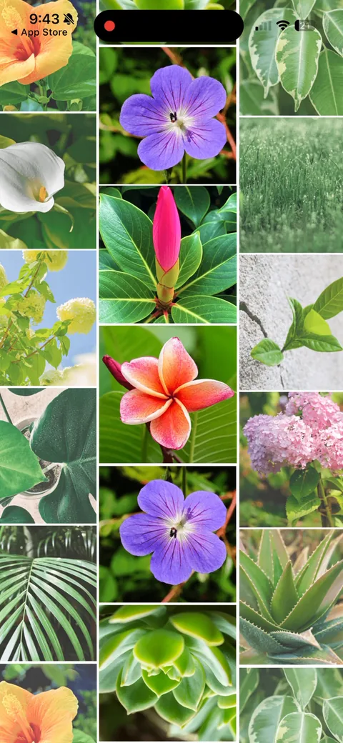 Picturethis onboarding screen 6