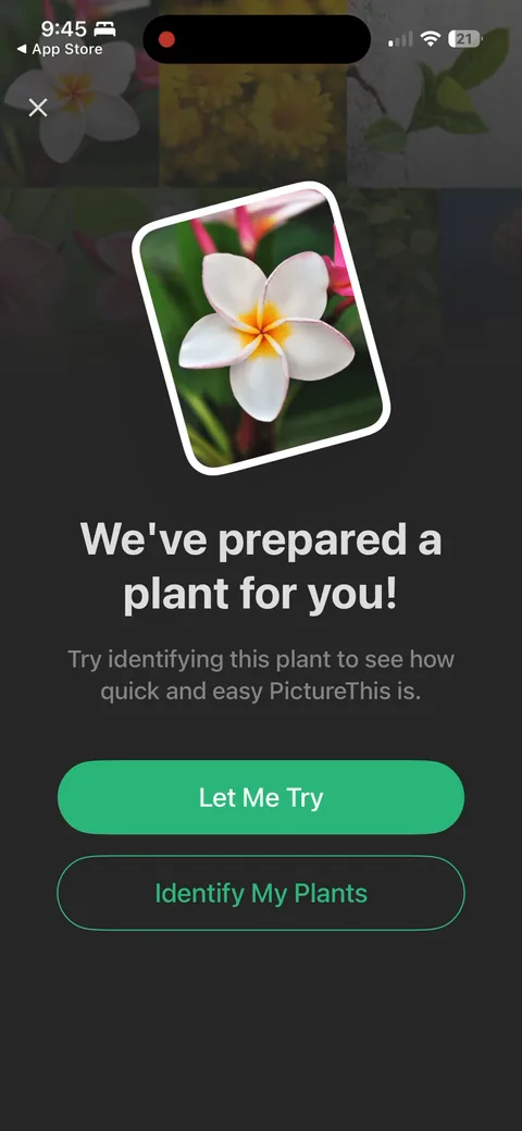 Picturethis onboarding screen 22: 'We've prepared a plant for you