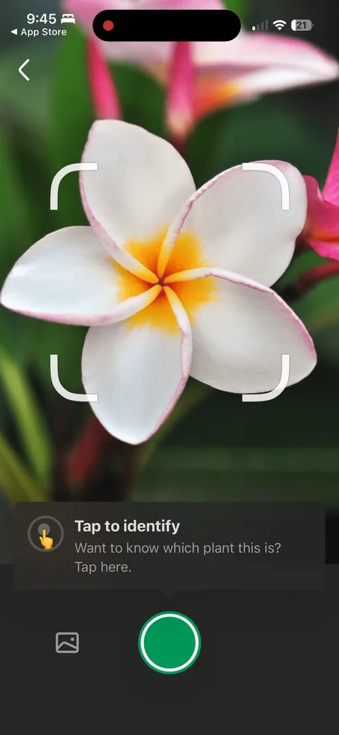 Picturethis onboarding screen 23: 'Tap to identify