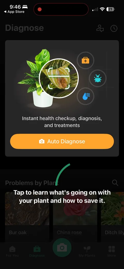 Picturethis onboarding screen 58: 'Instant health checkup, diagnosis and treatments.' Promoting the diagnose feature inside the home, not only…