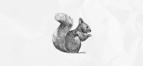 Simply Draw onboarding screen 15: Sample finished drawing (squirrel) on paper texture