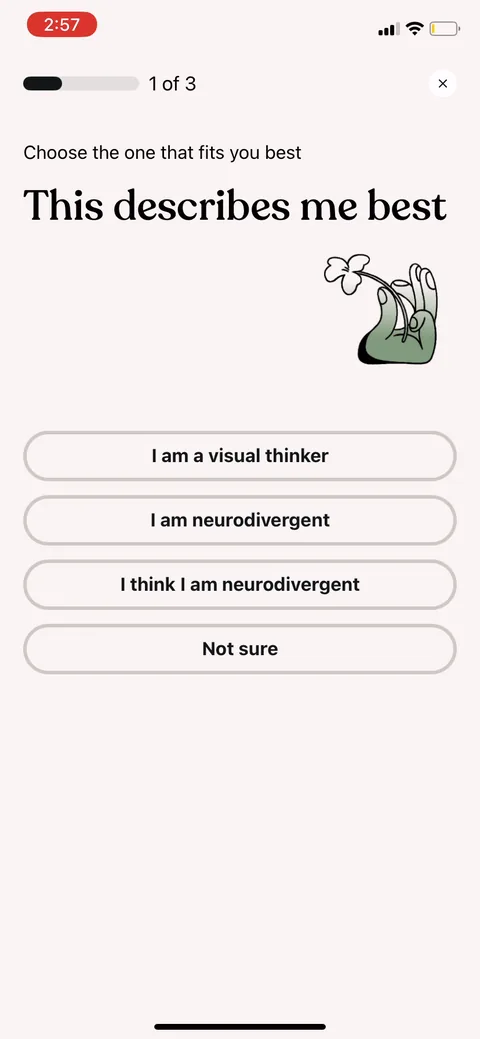 Tiimo onboarding screen 4: Q1 is identity: 